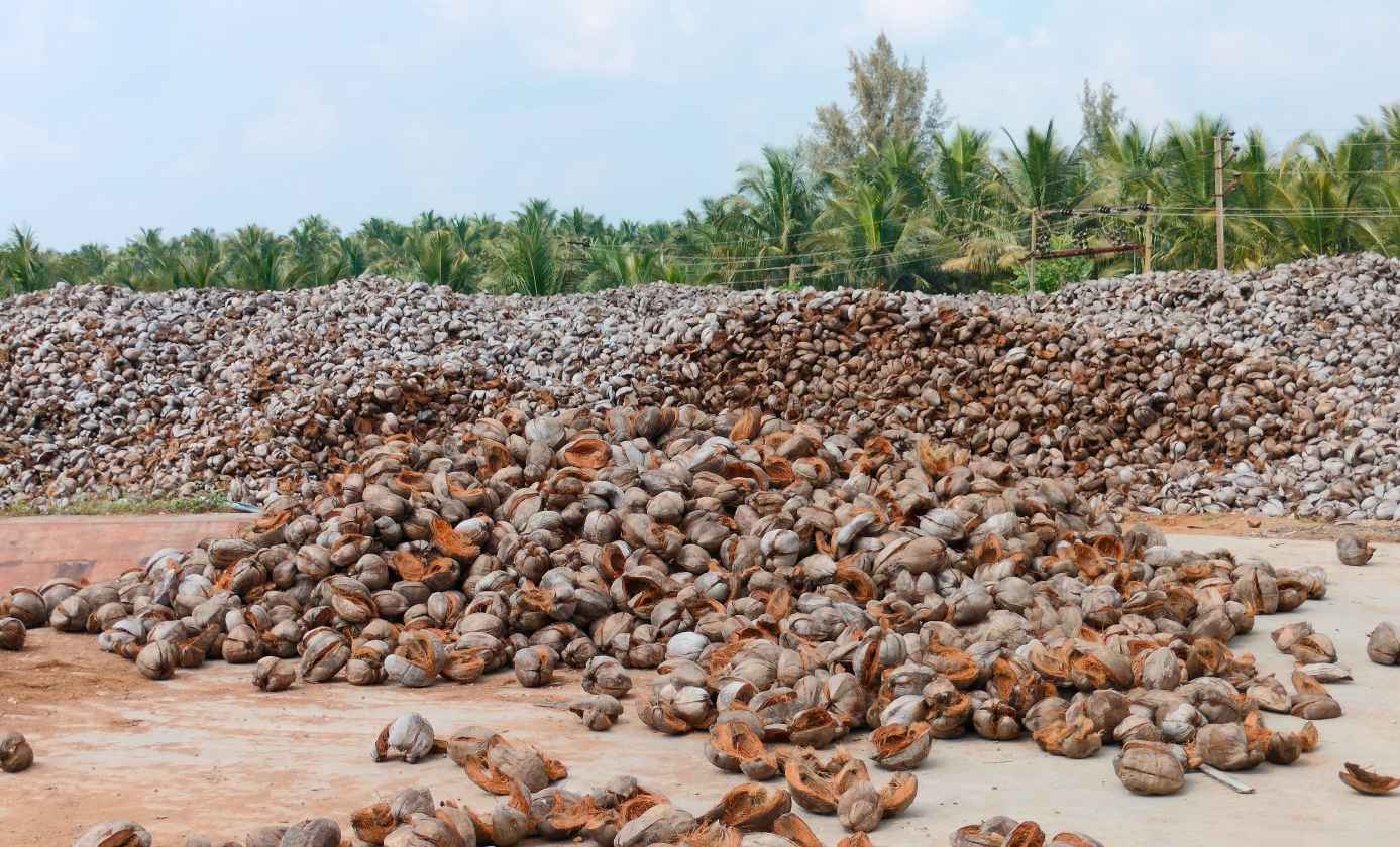 alam cocos husks